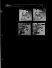 Garden Club (4 Negatives) (May 13, 1961) [Sleeve 50, Folder e, Box 26]
